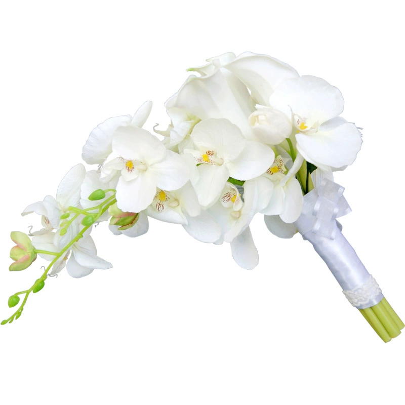 Französische romantische Hochz – Home Fragrance French Bewertung und Preis