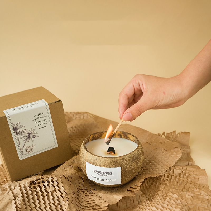 Kokosnussschalen-Aromatherapie – Home Fragrance Wax Melts Bewertung und Preis