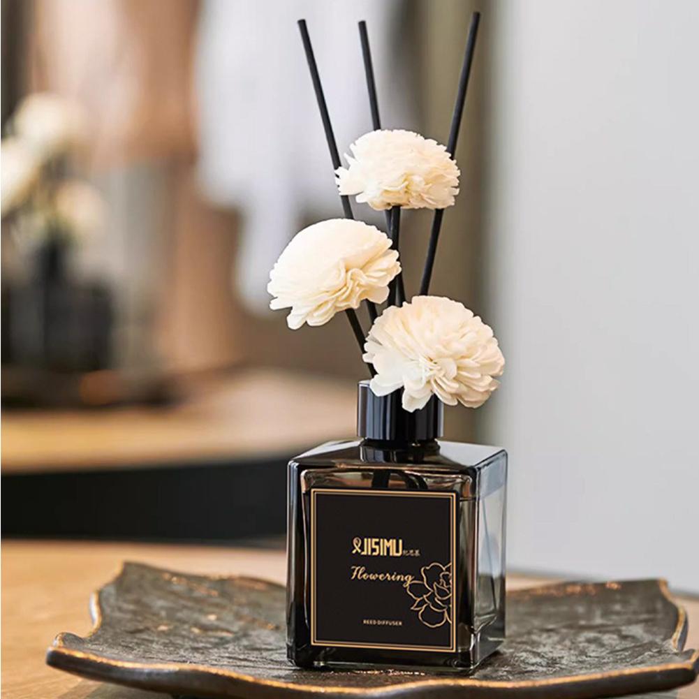 Feuerlose Aromatherapie-Raumde – Home Fragrance H&M Bewertung und Preis