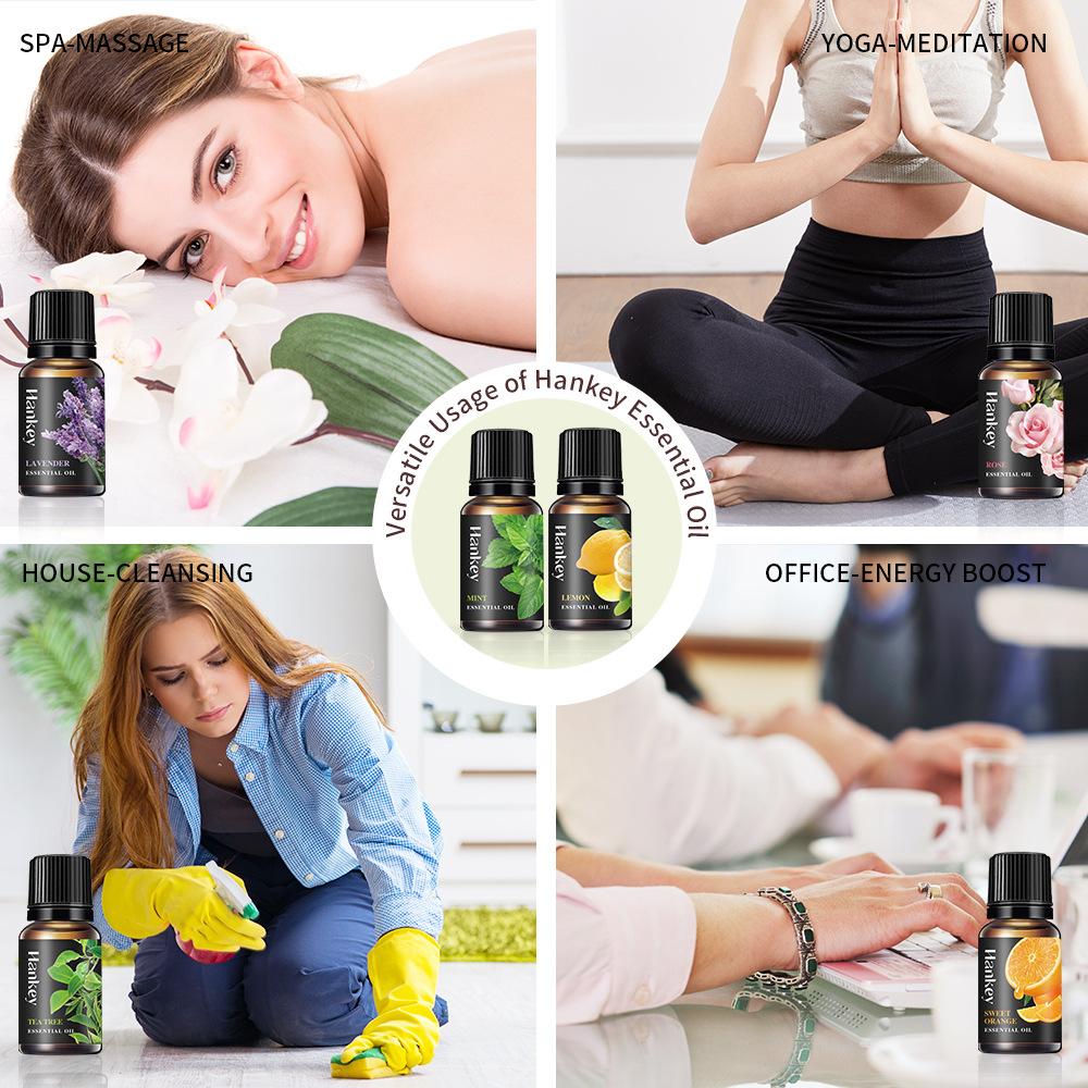12 Sorten 10ml Ätherische Öle  – Home Fragrance Vanilla Bewertung und Preis