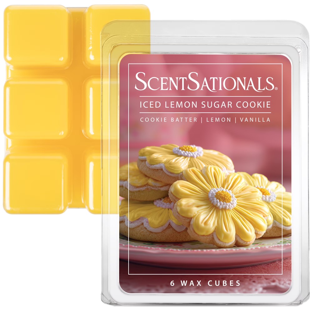 Duftende Wachswürfel mit Eis-Z – Home Fragrance Wax Melts Bewertung und Preis